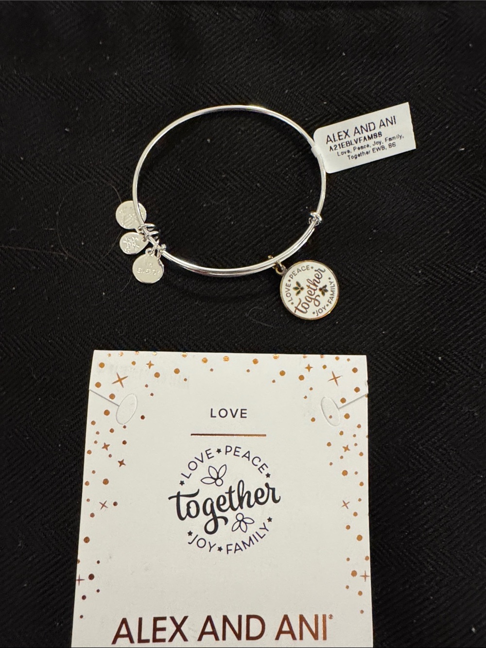 Alex and Ani Silver 'Together' Charm Bangle Bracelet